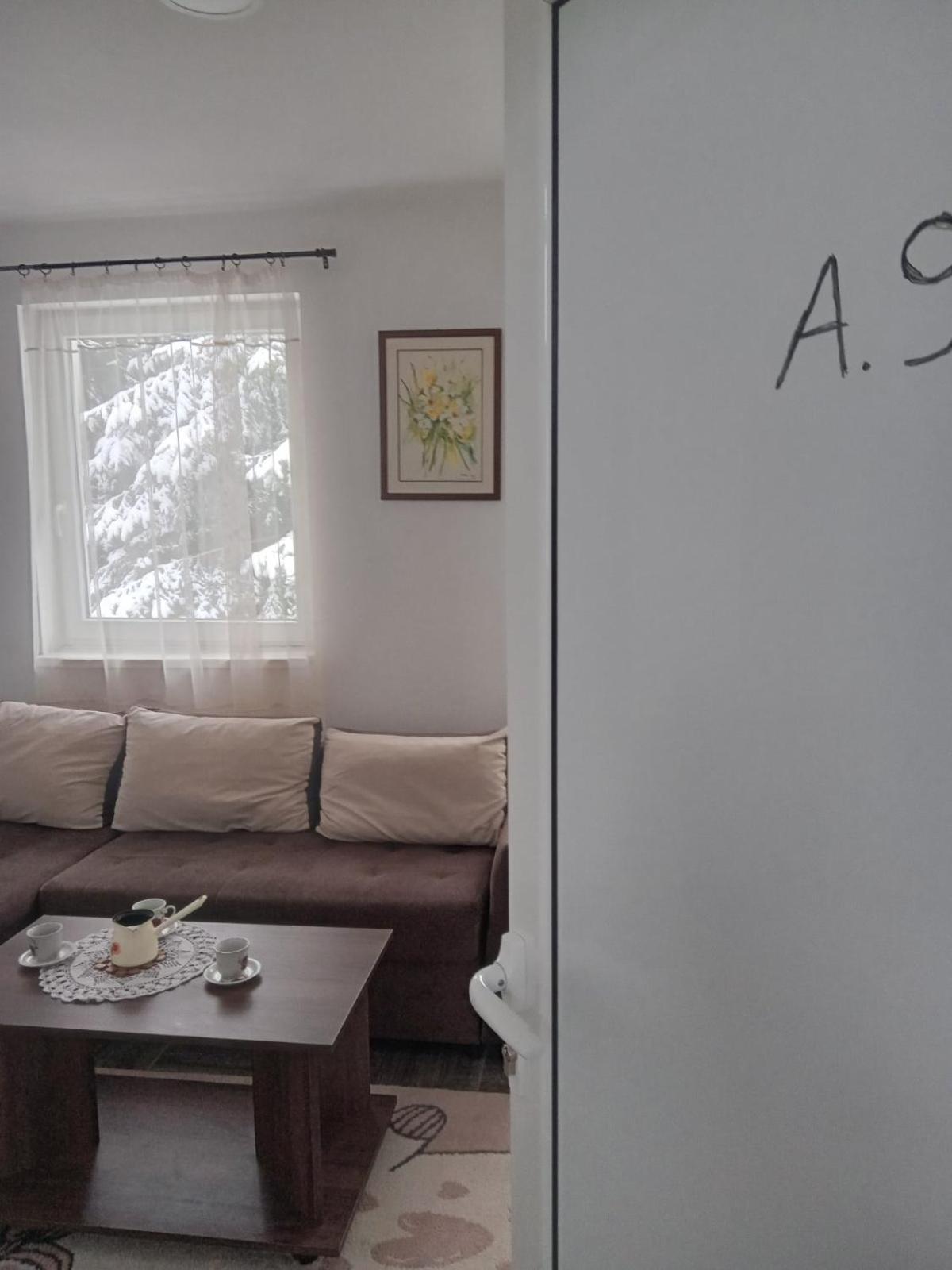 Vila Mozart - Apartments & Studios Копаоник Экстерьер фото