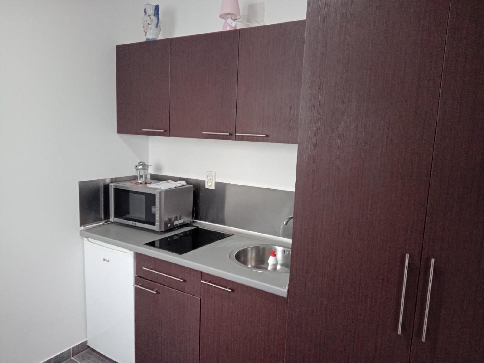 Vila Mozart - Apartments & Studios Копаоник Экстерьер фото
